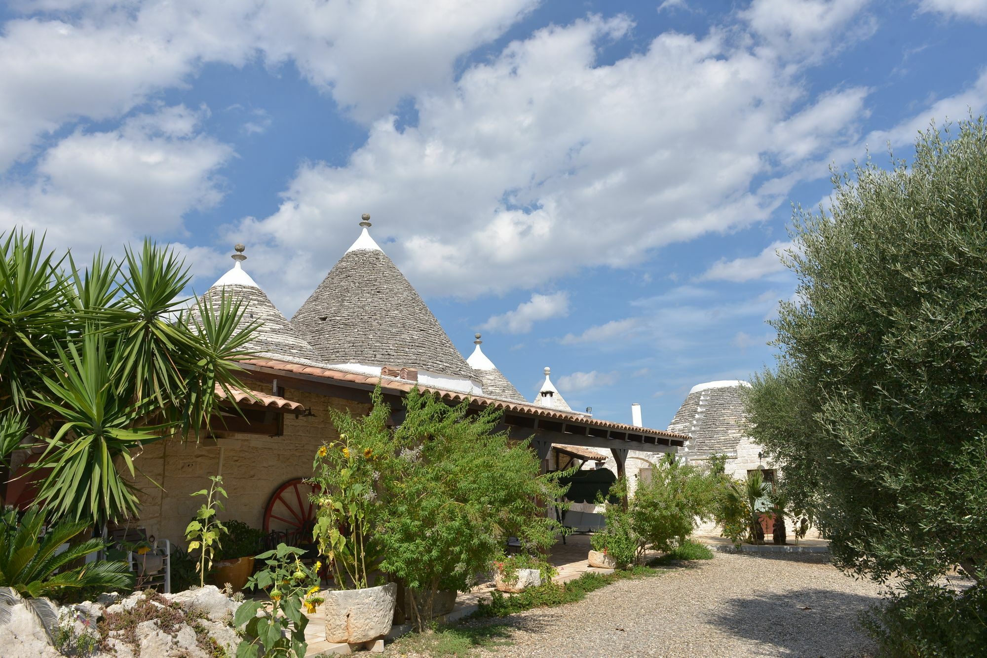 Masseria Pentima Vetrana Resort Alberobello Dış mekan fotoğraf